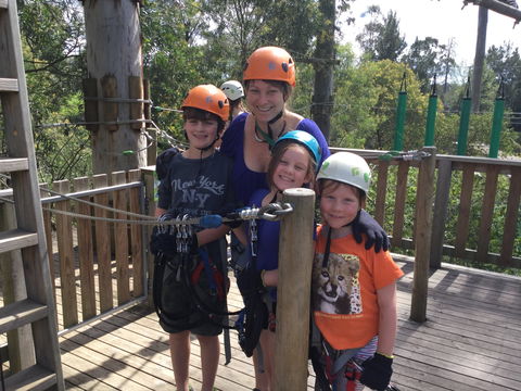 Trees Adventure - Glen Harrow Park - Accommodation Tasmania 1