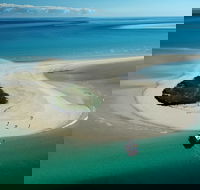 Turtle Discovery - Accommodation Tasmania