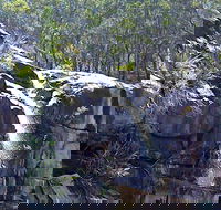 Ugly Corner Falls Walking Track - Accommodation Tasmania