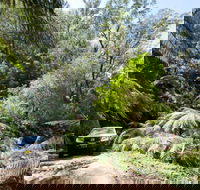 Wadbilliga Road drive - Accommodation Tasmania