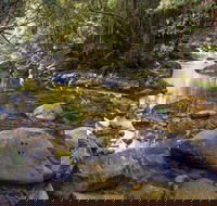 Washpool Walking Track - Accommodation Tasmania