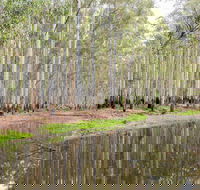 Wonga Wetlands - Accommodation Tasmania