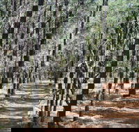 Yana-y Warruwi Walking Track - Accommodation Tasmania