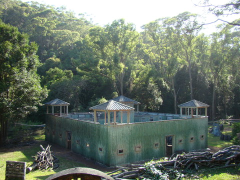 Alpha Paintball - Accommodation Tasmania 0