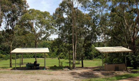 Back Creek Picnic Area - Accommodation Tasmania 0