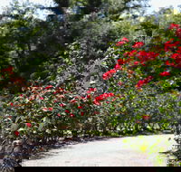 Benalla Botanical Gardens - Accommodation Tasmania