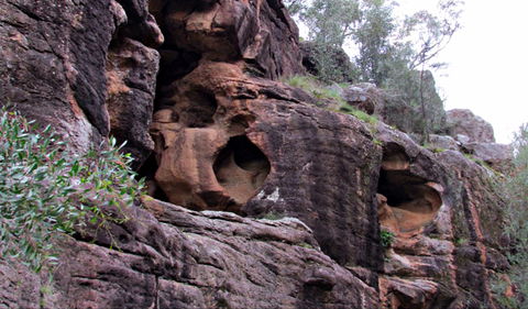 Bertha's Gully Walking Track - Accommodation Tasmania 0