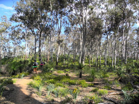 Bibbulmun Track - Accommodation Tasmania 1