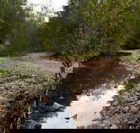 Budawang National Park - Accommodation Tasmania