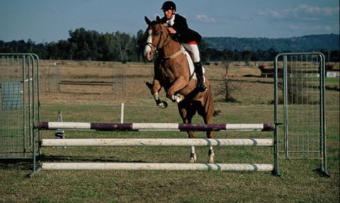 Camden Bicentennial Equestrian Park - Accommodation Tasmania 0