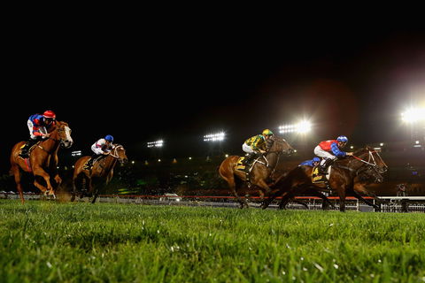 Canterbury Park Racecourse - Accommodation Tasmania 0