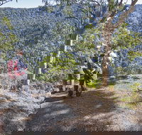 Caves circuit Lamington National Park - Accommodation Tasmania