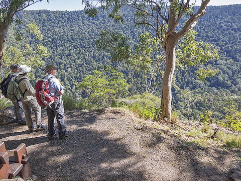 Caves Circuit, Lamington National Park - Accommodation Tasmania 0