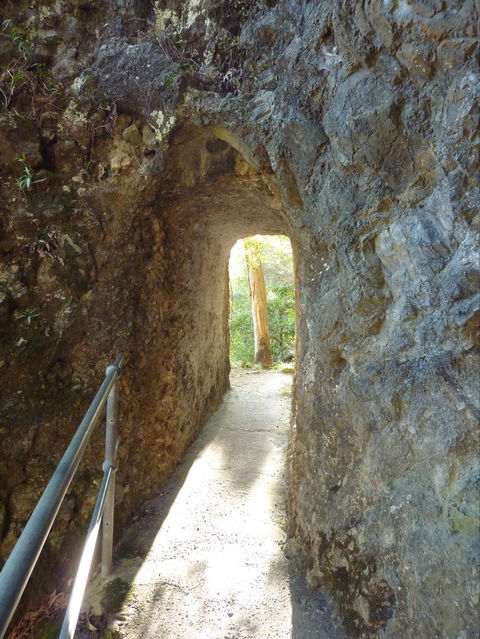 Caves Circuit, Lamington National Park - Accommodation Tasmania 1