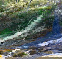 Charles Darwin walk - Accommodation Tasmania