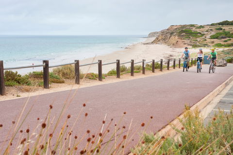 Coast To Vines Rail Trail - Accommodation Tasmania 0