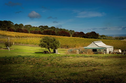 Coast To Vines Rail Trail - Accommodation Tasmania 2