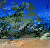 Comet - Accommodation Tasmania