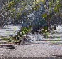 Coolah Tops National Park - Accommodation Tasmania