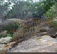Dergholm State Park - Accommodation Tasmania