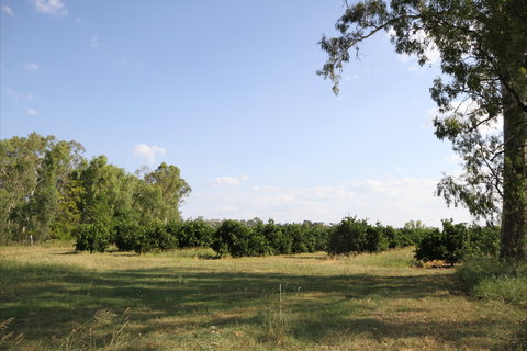 Dululu - Accommodation Tasmania 1