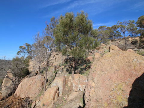 Eldorado And The Woolshed Valley - Accommodation Tasmania 2