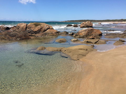 Eurimbula National Park - Accommodation Tasmania 0