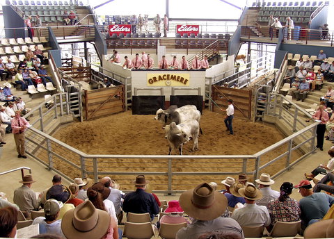 Gracemere Exhibition Complex - Accommodation Tasmania 1