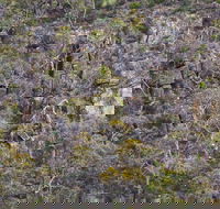 Horsnell Gully and Giles Conservation Parks - Accommodation Tasmania