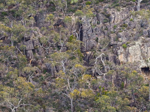 Horsnell Gully And Giles Conservation Parks - Accommodation Tasmania 0