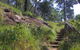 Ingleburn Reserve - thumb 2