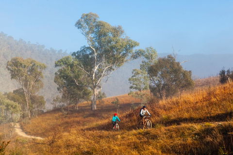 Kambah Pool To Pine Island Walking Trail - Accommodation Tasmania 0