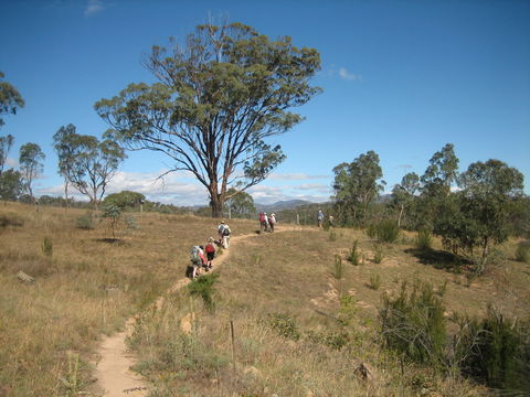 Kambah Pool To Pine Island Walking Trail - Accommodation Tasmania 1