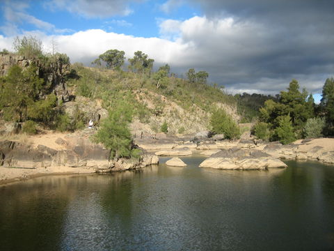 Kambah Pool To Pine Island Walking Trail - Accommodation Tasmania 2