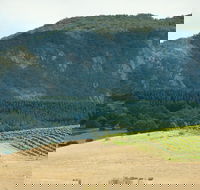 Langi Ghiran State Park - Accommodation Tasmania