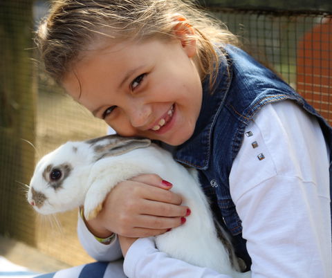 Macadamia Castle - Accommodation Tasmania 2