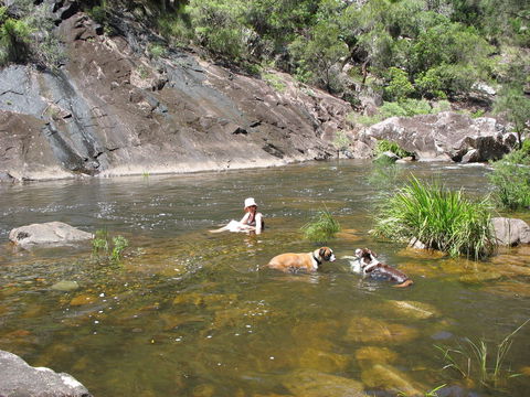 Mount Boss State Forest - Accommodation Tasmania 0