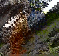 Mystery Face Walking Track - Accommodation Tasmania