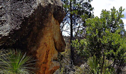 Mystery Face Walking Track - Accommodation Tasmania 0