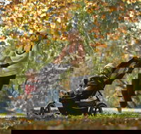 Noreuil Park - Accommodation Tasmania