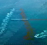 Port Noarlunga Reef Sanctuary Zone - Encounter Marine Park - Accommodation Tasmania