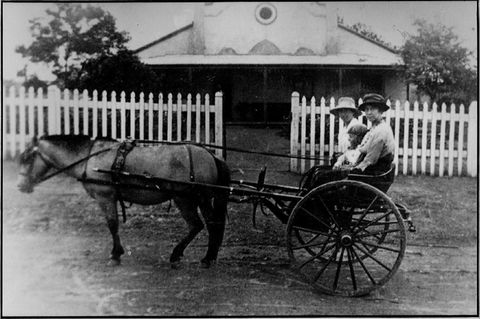 Quondong Cottage - Accommodation Tasmania 1