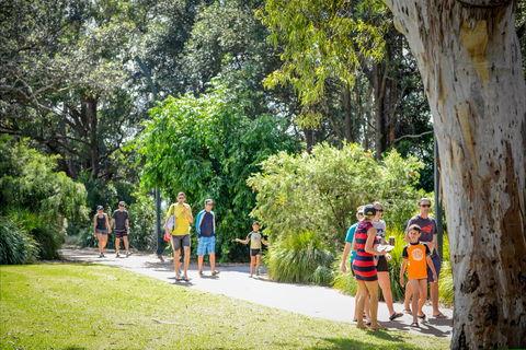 Round The Bay Walking Track: Huskisson To Vincentia - Accommodation Tasmania 1