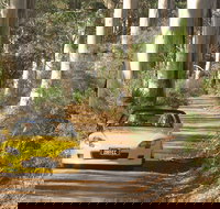 Scotsdale Tourist Drive - Accommodation Tasmania