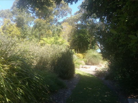 Shoalhaven Heads Native Botanic Garden - Accommodation Tasmania 2