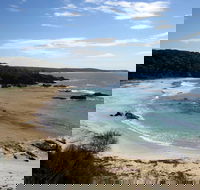 Snorkelling Mystery Bay - Accommodation Tasmania