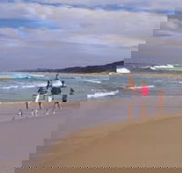 Soldiers Beach - Accommodation Tasmania