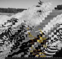 Spring Markets - Accommodation Tasmania