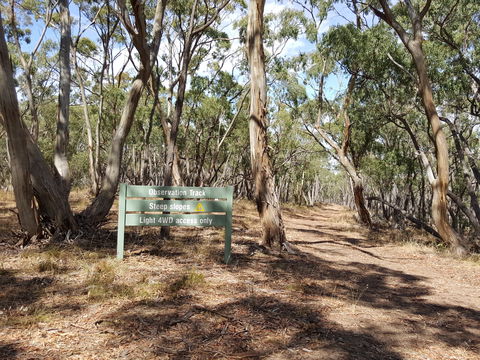 Spring Gully Conservation Park - Accommodation Tasmania 2