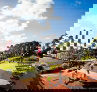 Sydney Park - Accommodation Tasmania